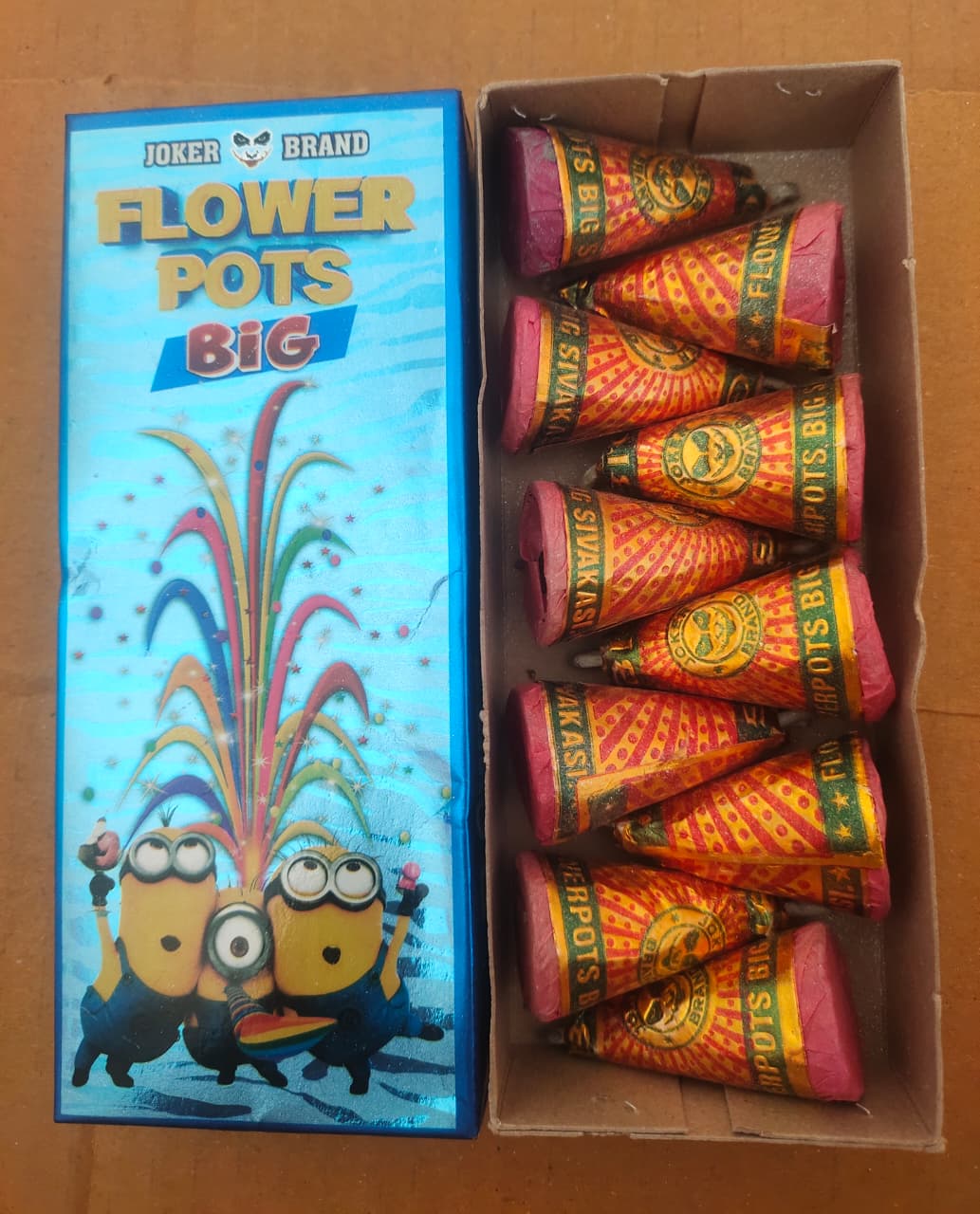 FLOWER POT BIG (10 PCS)